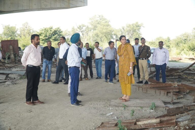 1792665466_630_कुंभ-2027-की-तैयारियों-में-अस्थायी-व्यवस्थाओं-ने-भी-पकड़ी-रफ्तार.jpeg